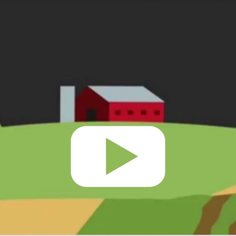 Vitamins: behind the science video